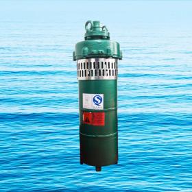 QS小型潛水電泵、QST660V特種電泵