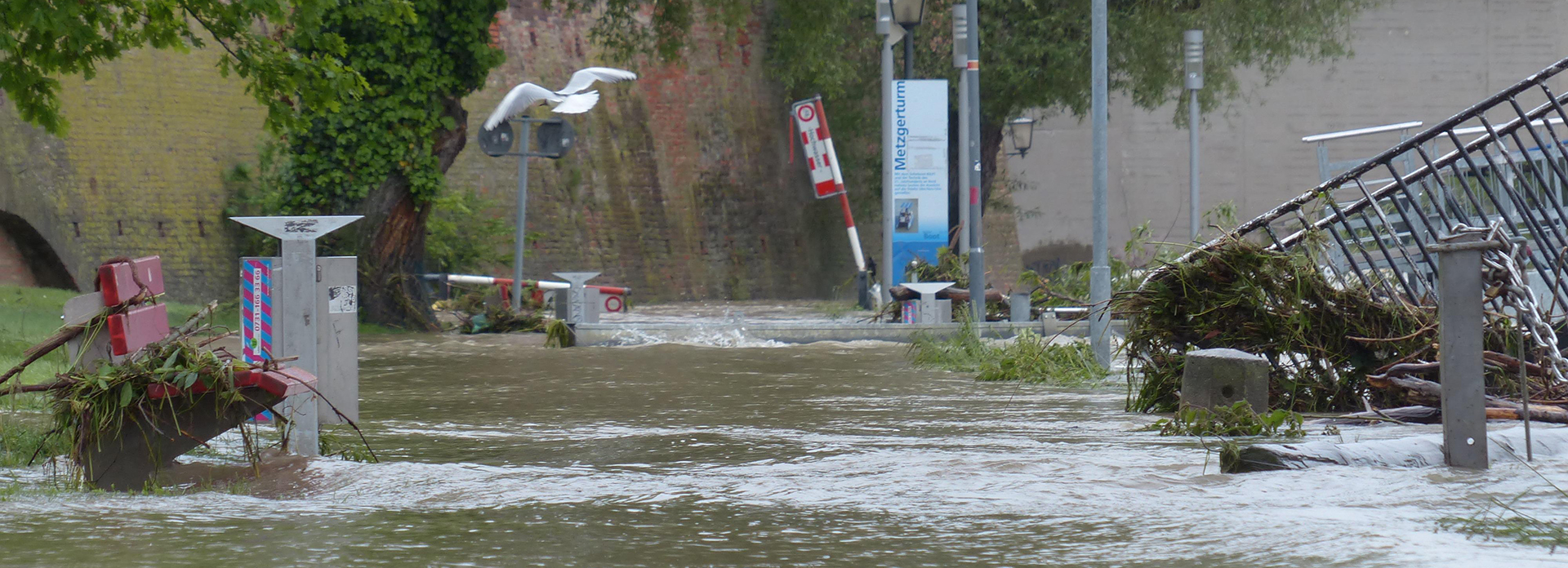 1655459618148501.jpg 洪水.jpg