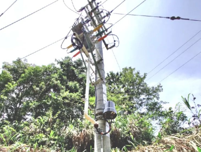 1688116866988745.jpg 1688116842529.jpg