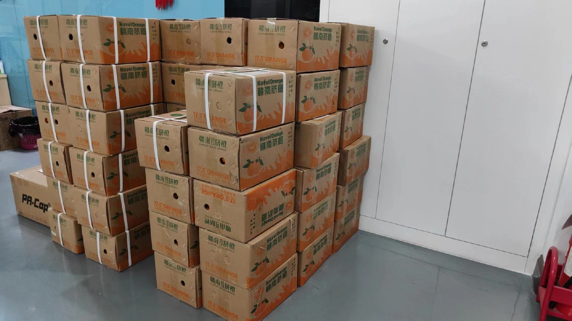 1702630101130912.jpg 微信圖片_20231215144105.jpg